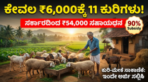 Sheep Goat Subsidy Scheme